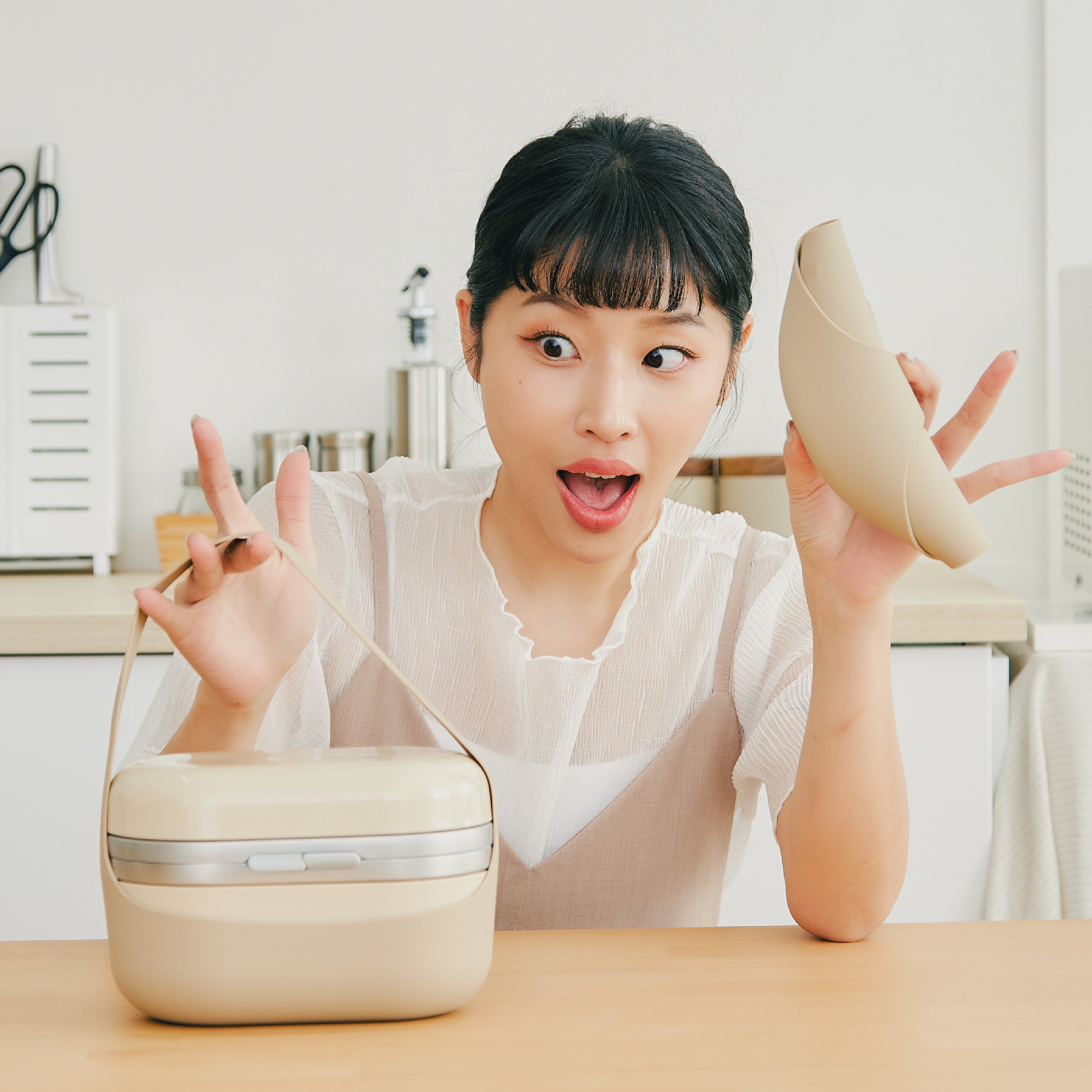 Bento-GO 隔熱手提袋