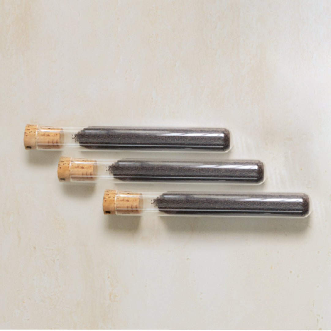 Mini Press 咖啡濾壓棒|配件組